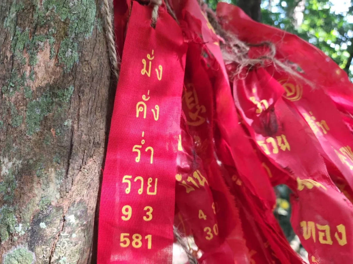 เลขเด็ด