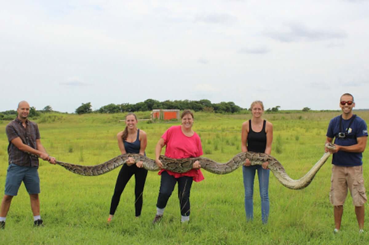 ฝันเห็นงูตัวใหญ่