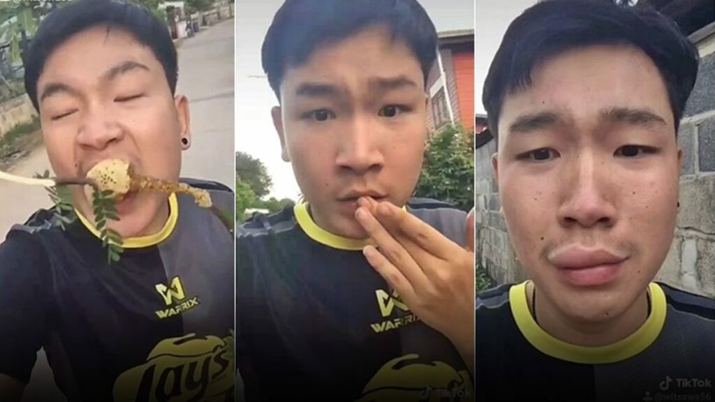 ฝันว่ากินผึ้ง