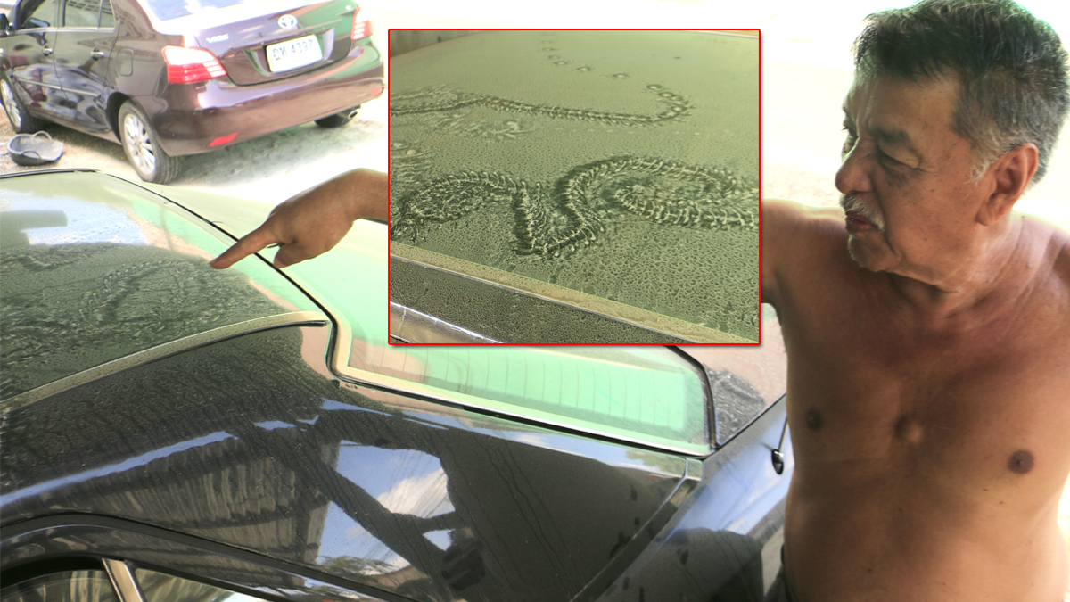 คอหวยฮือฮารอยพญานาคโผล่ใต้ถุนบ้าน