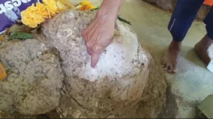 จอมปลวกโผล่กลางพ่อท่านรอดพ่อท่านทอง