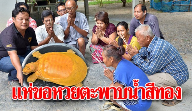 ตะพาบน้ำให้หวย