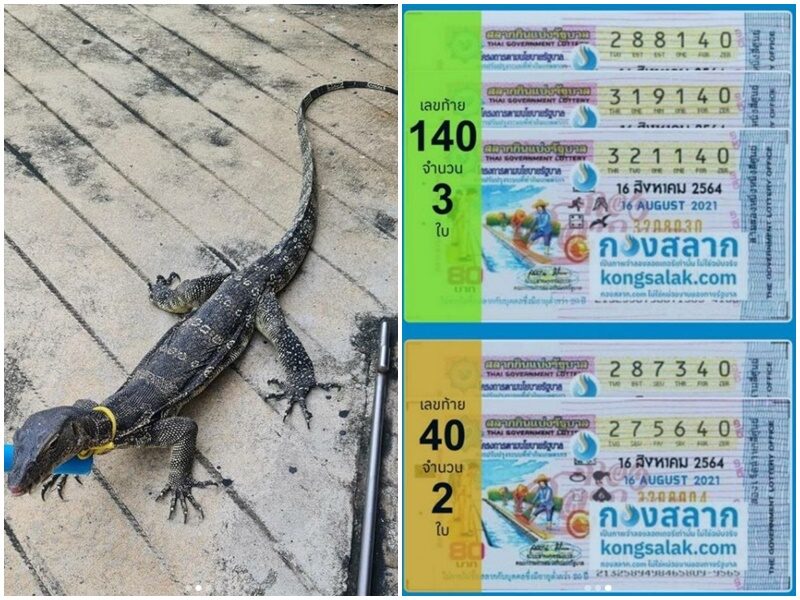 ตัวเงินตัวทองติดท้องรถให้โชค