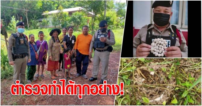 ตำรวจจับงูและได้ไข่งูพร้อมเลขเด็ด