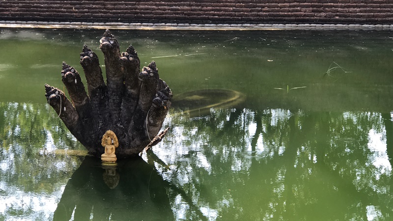 ฝันเห็นพญานาคสีดํา