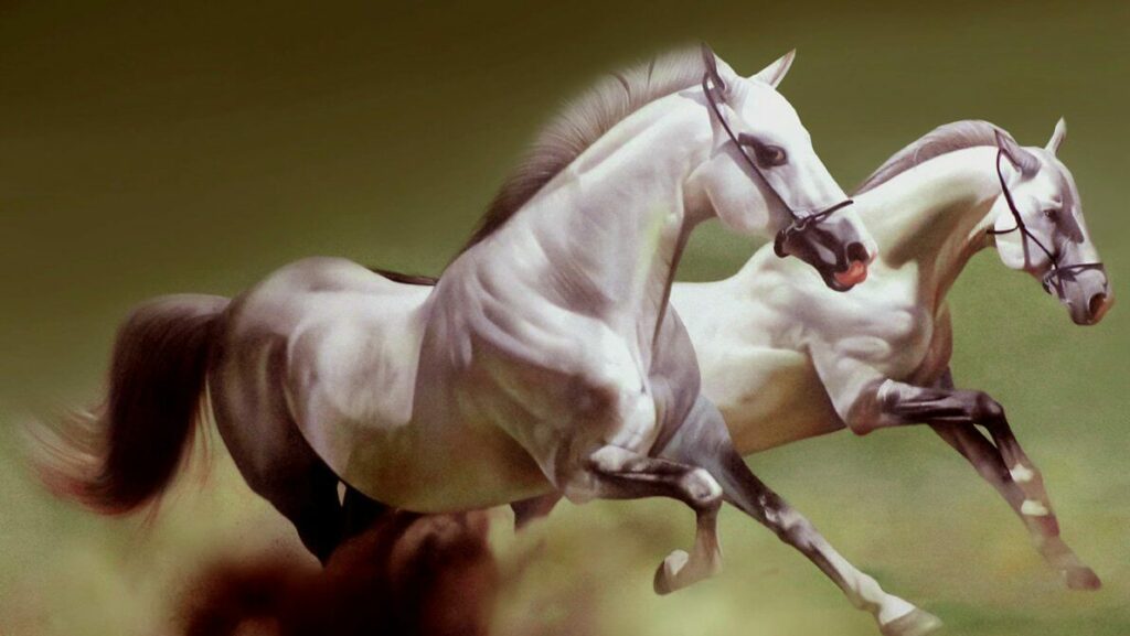 ฝันเห็นม้า 2 ตัว