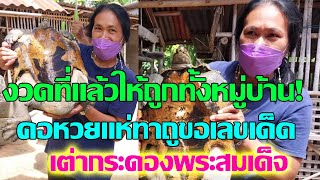 เต่ายักษ์ให้เลขเด็ดถูกกันทั้งหมู่บ้าน