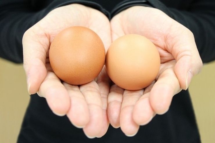 ฝันเห็นไข่ไก่ 2 ฟอง