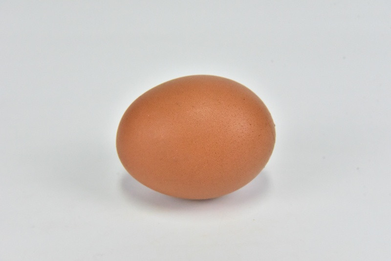 ฝันเห็นไข่ไก่ 1 ฟอง